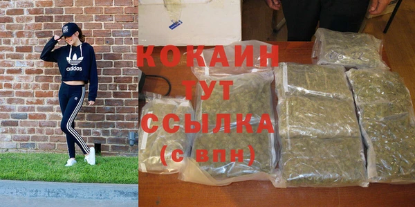 прущие грибы Алексин
