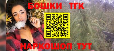 индика Жуковский