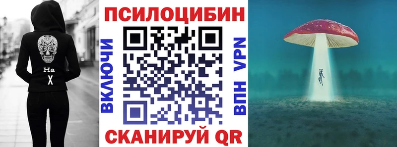 Галлюциногенные грибы Psilocybine cubensis KRAKEN ТОР это как зайти Сибай