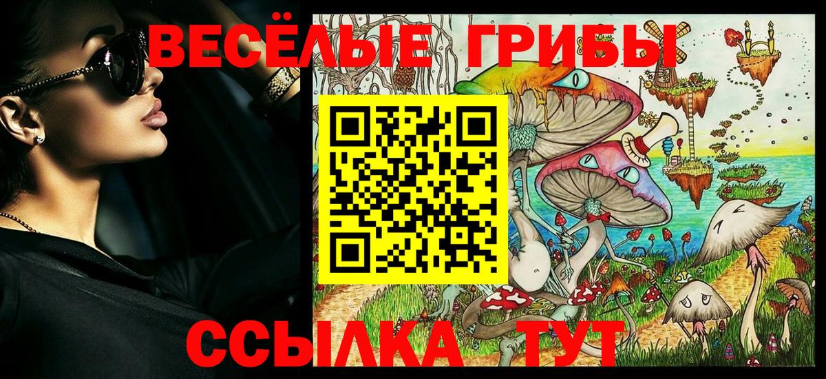 Псилоцибиновые грибы ЛСД  Вход с VPN  Сибай  Галлюциногенные грибы GOLDEN TEACHER 