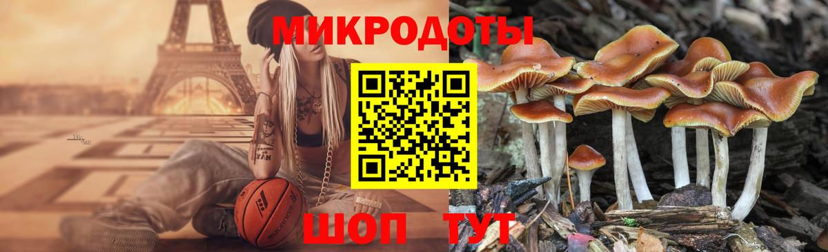 Галлюциногенные грибы мухоморы Сибай